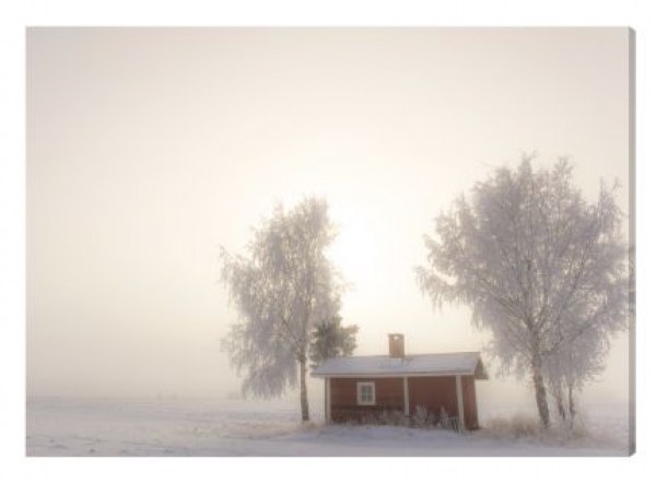 1064